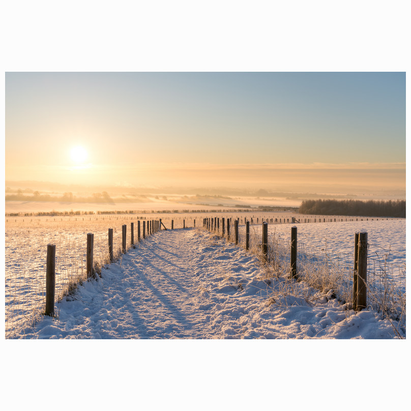 Snowy sunrise