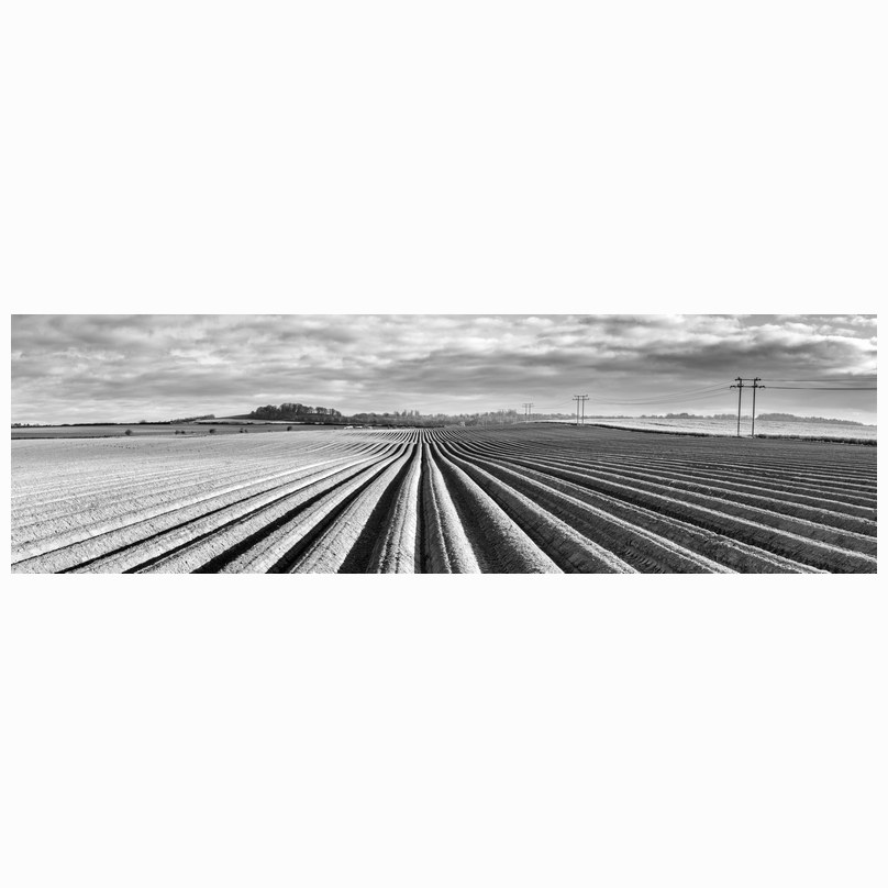 Lines in the landscape