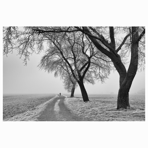 Lonely figure