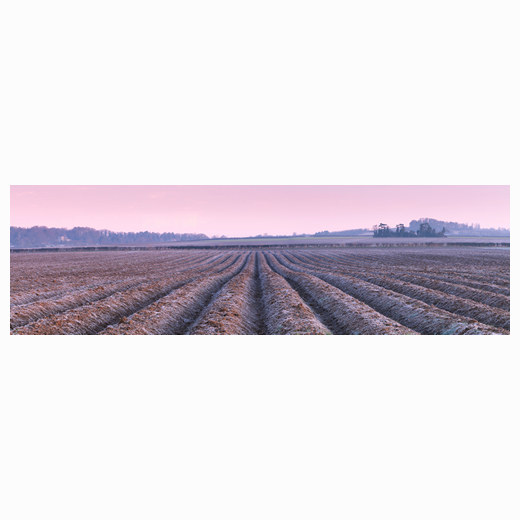 Frosty ploughed fields