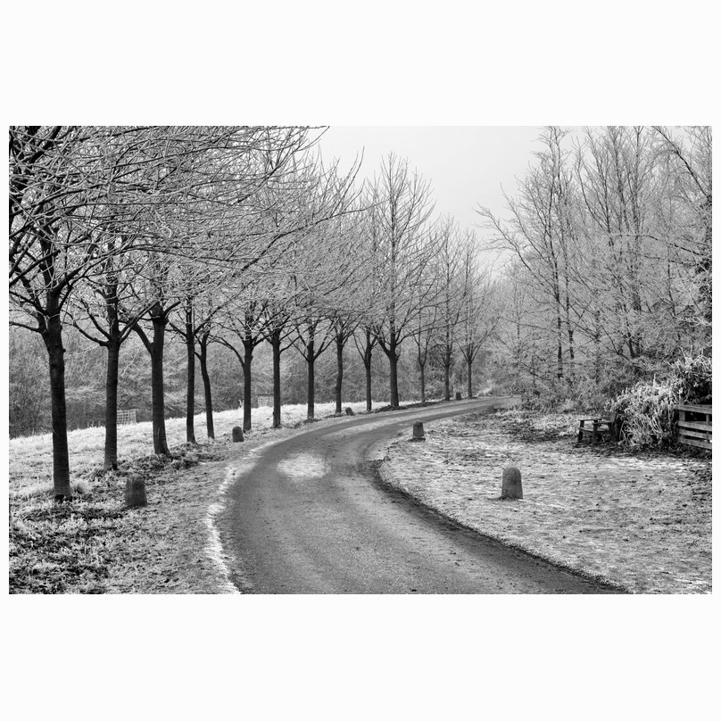 Wandlebury curve