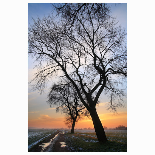 Winter sunrise