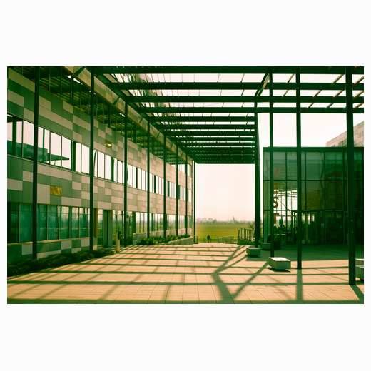 Hauser Forum