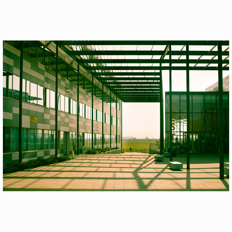Hauser Forum