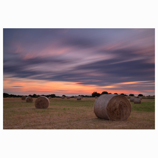 Hay bales sunset