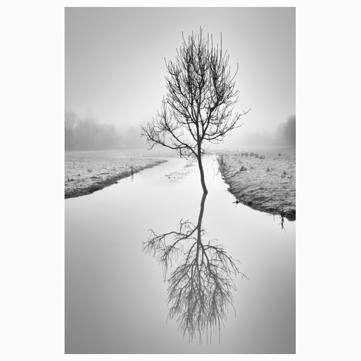 Reflections Fen Causeway