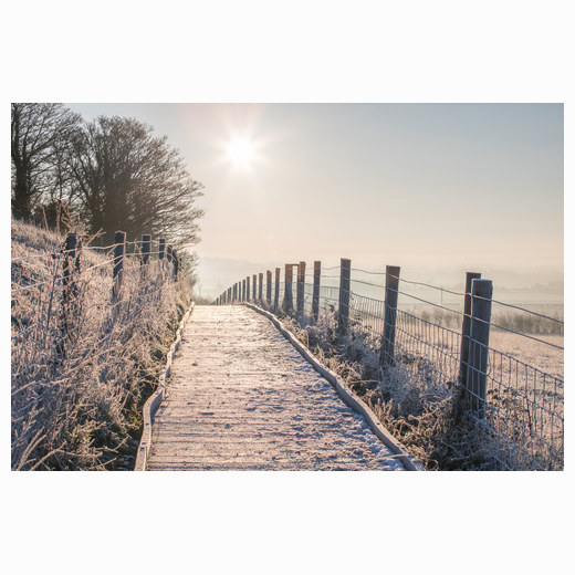 Frozen pathway