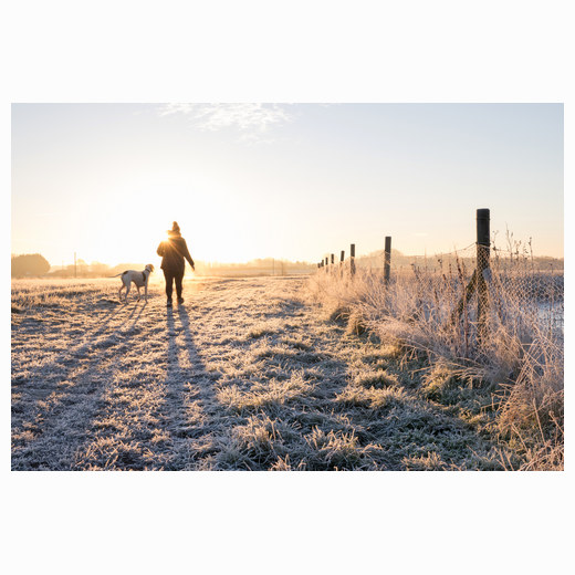 Dernford dog walk