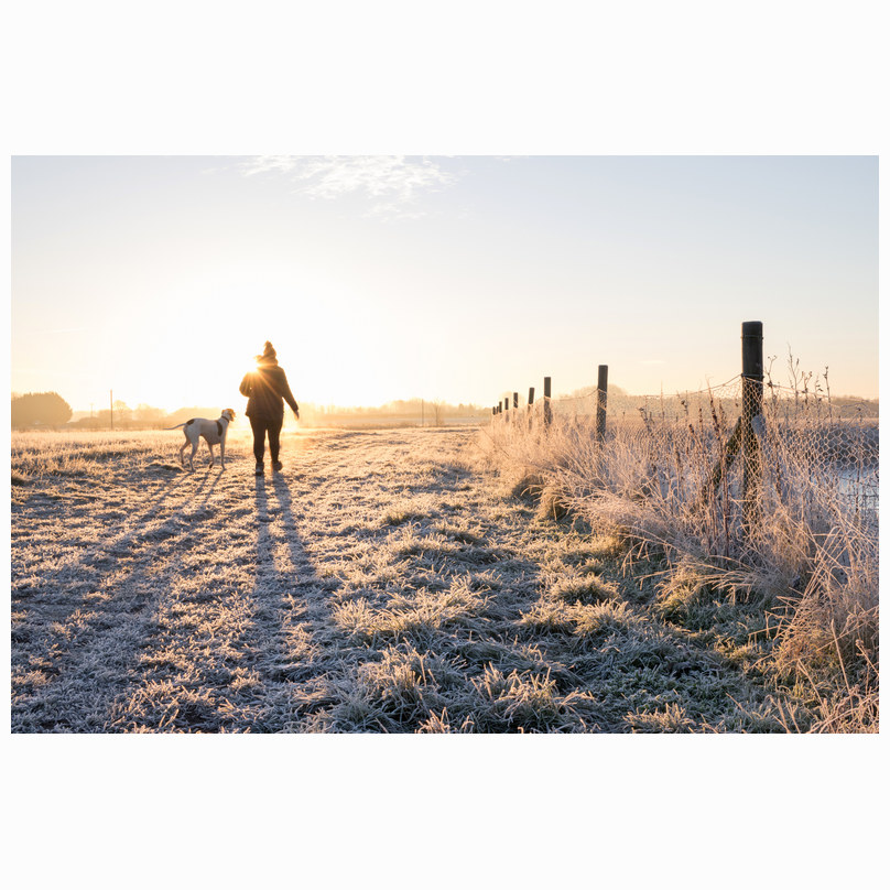 Dernford dog walk