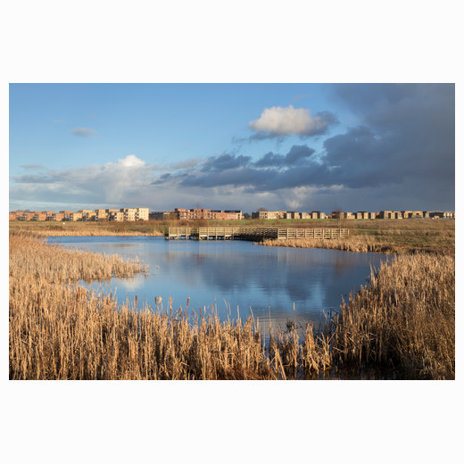 Trumpington Meadows
