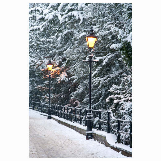 Narnia