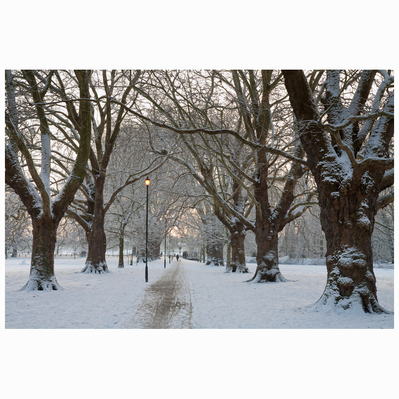 Winter at Midsummer
