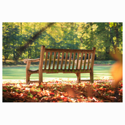 Trinity bench