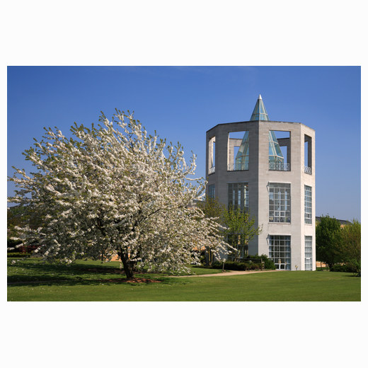 Moller Centre