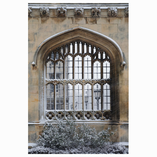 Kings winter Screen