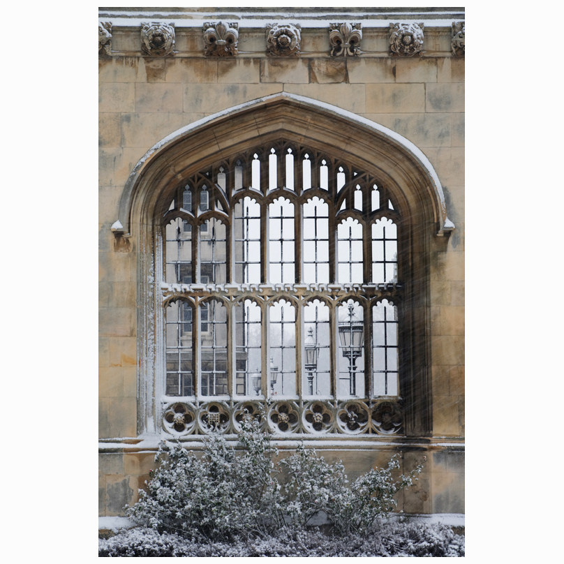 Kings winter Screen