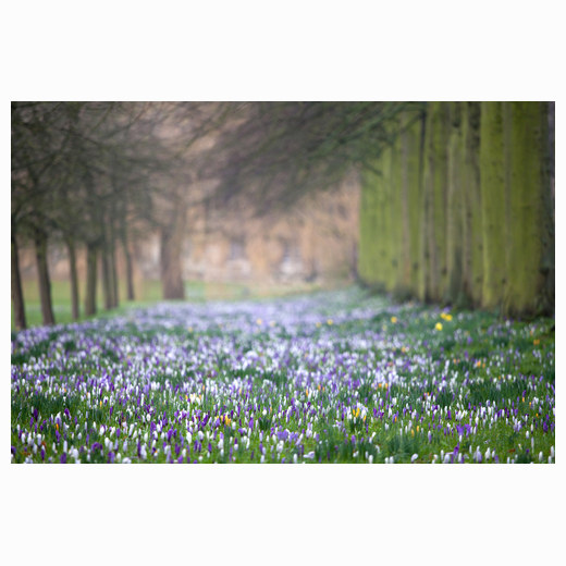 First signs of spring
