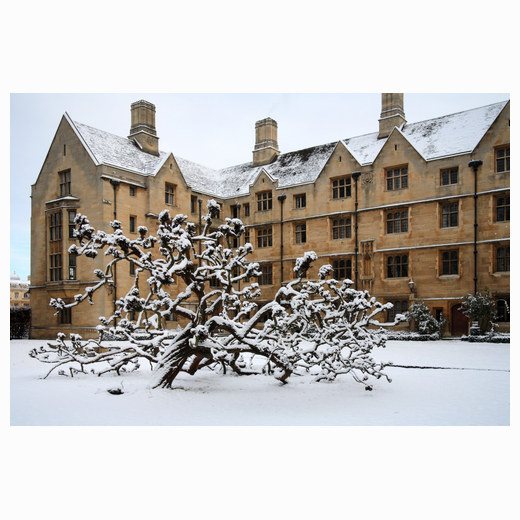 Bodley's Court in the snow