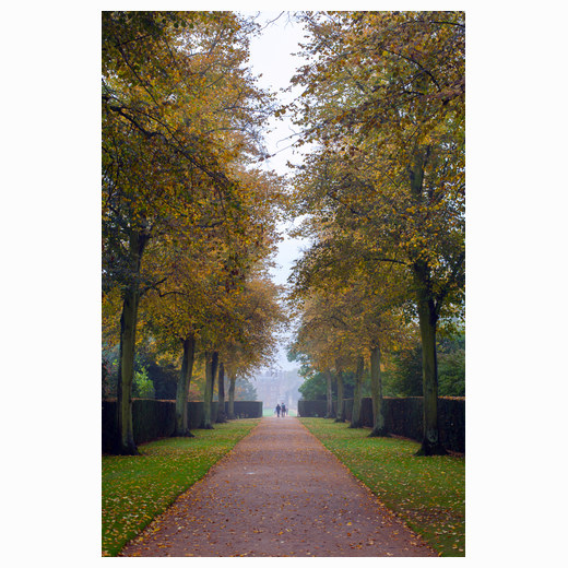 John's pathway