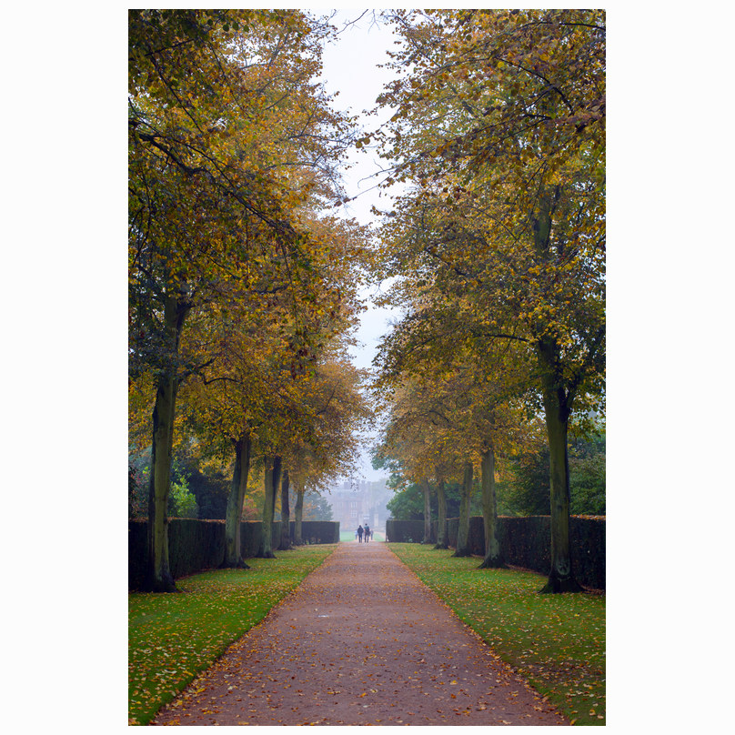John's pathway