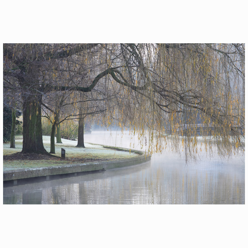 Mist rising