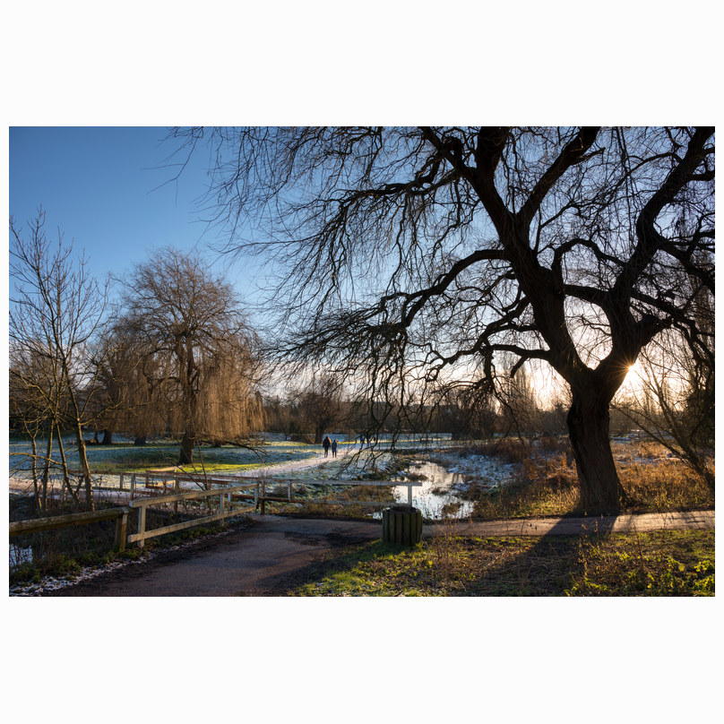 Mill Pond morning